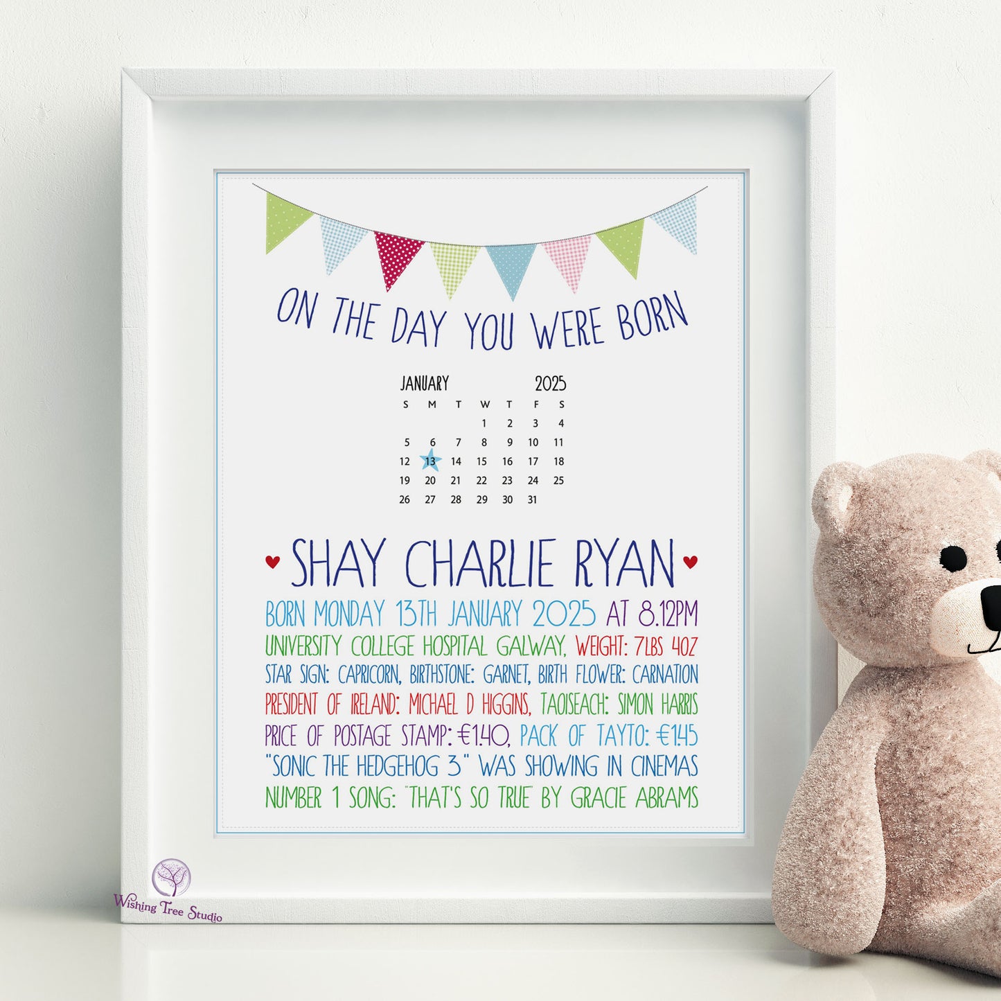 On the Day you were Born new baby boy